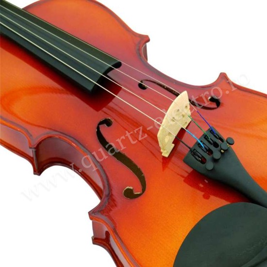 VIOARA 3/4 CU ARCUS SI TOC DIMAVERY 