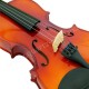 VIOARA 3/4 CU ARCUS SI TOC DIMAVERY 
