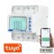Contor de energie si releu de protectie inteligent Wifi trifazat 100A Potric