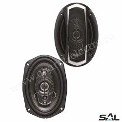 DIFUZOR AUTO SAL CX695 6X9" 240W 4Ohm DIFUZOR AUTO SAL CX695 6X9" 240W 4Ohm