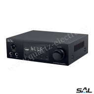 Mini amplificator multimedia hifi SAL
