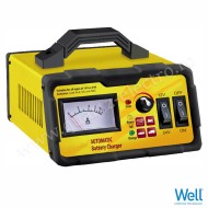 REDRESOR AUTO 12V/24V 15 A WELL