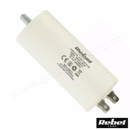 Condensator pornire motor 450V 30uF cu fisa plata pentru papuc Rebel Condensator pornire motor 450V 30uF cu fisa plata pentru papuc Rebel