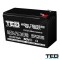 ACUMULATOR CU PLUMB 12V 10Ah F2, AGM VRLA, TED
