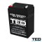 ACUMULATOR CU PLUMB 12V 2.7Ah F1, AGM VRLA, TED