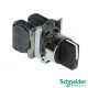 INTRERUPATOR CU RETINERE 1-0-2 XB4BD33 SCHNEIDER