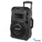 SISTEM PORTABIL SD BLUETOOTH USB 12 INCH 20W