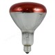 BEC INFRAROSU ISKRA 175W BEC INFRAROSU ISKRA 175W