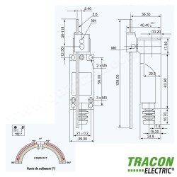 LIMITATOR DE CURSA BRAT- BALANSIER CU TIJA 1×NO+1×NC, 5A/250V AC, 0-100mm, IP65 TRACON LIMITATOR DE CURSA BRAT- BALANSIER CU TIJA 1×NO+1×NC, 5A/250V AC, 0-100mm, IP65 TRACON