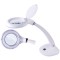 LAMPA CU LUPA 3+12 DIOPTRII T4 12W