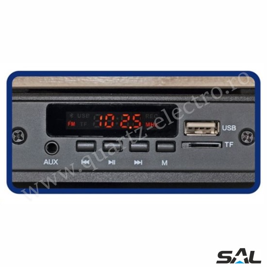 PICK-UP CU FUNCTII MULTIMEDIA SAL PICK-UP CU FUNCTII MULTIMEDIA SAL
