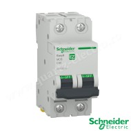 Intrerupator automat 2P 40A 4.5kA Schneider