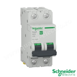 Intrerupator automat 2P 50A 4.5kA Schneider
