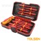 SET DE 13 SURUBELNITE VDE 